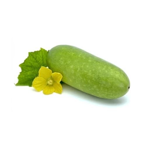 Ash Gourd চাল কুমড়া