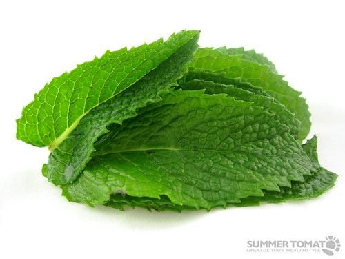 Mint Leaves পুদিনা পাতা