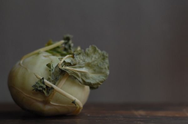 Kohlrabi ওলকপি