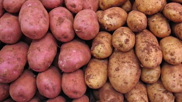 Potato দেশি আলু