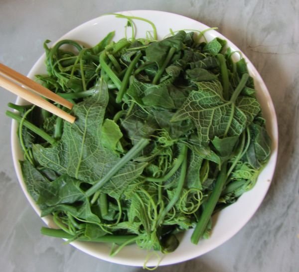 Bottle Gourd Leaves লাউ শাক