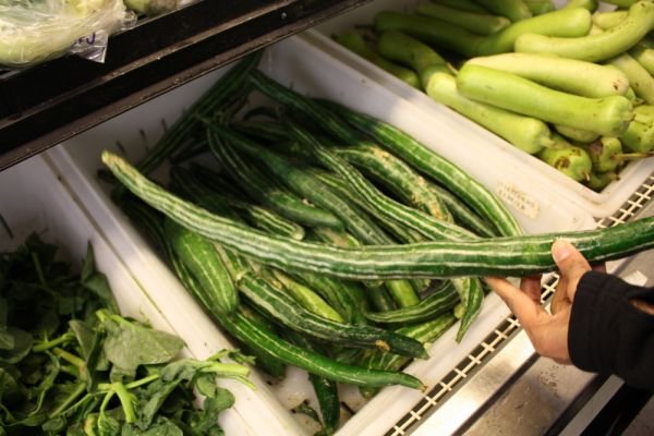 Snake Gourd কচি চিচিঙ্গা