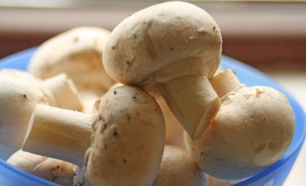 Button Mushroom মাশরুম