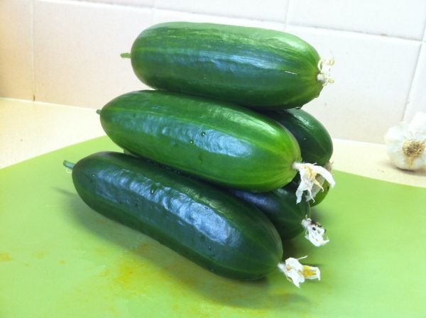 Cucumber দেশি শসা